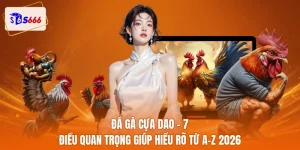 Đá gà cựa dao
