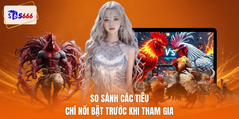 So sánh các tiêu chí nổi bật trước khi tham gia