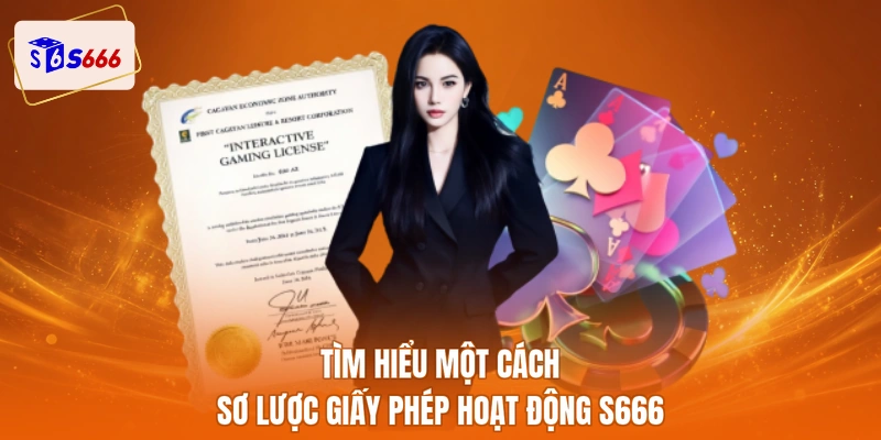 Tìm hiểu một cách sơ lược giấy phép hoạt động S666